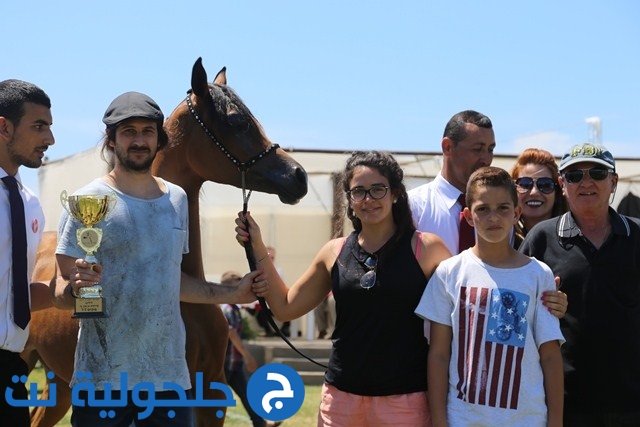  كفرقرع تحتضن مهرجان الربيع لجمال الخيول العربية ال٢١